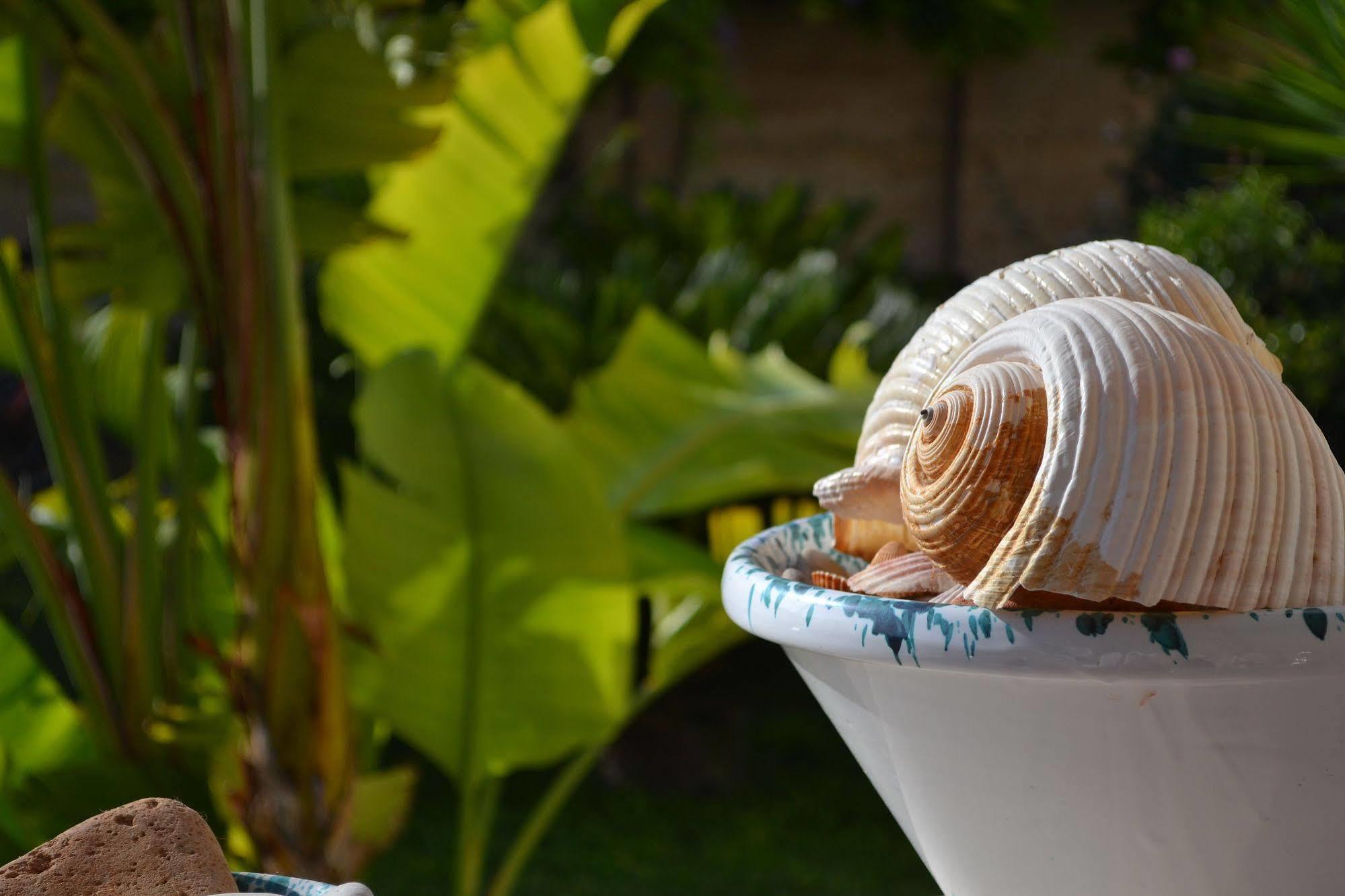 Villa Fiori Beach เมนฟี ภายนอก รูปภาพ